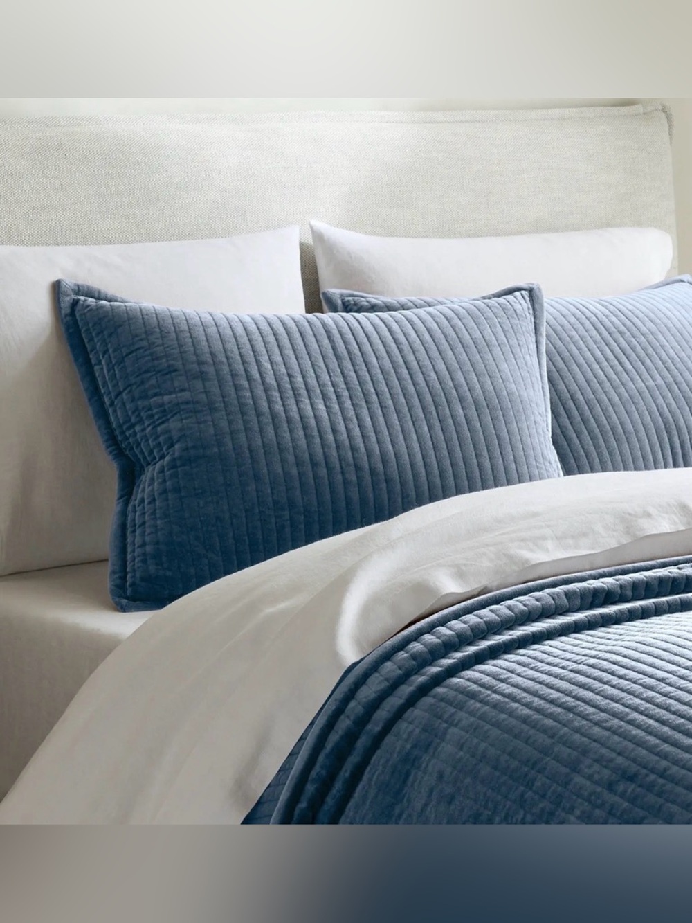 Quince Standard Shams Velvet Channel Glacier Like New